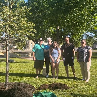 Mayor Zayas Tree