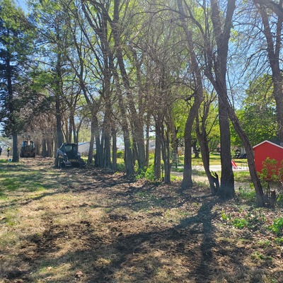 Cemetery clean-up