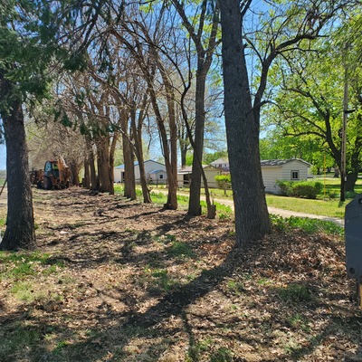 Cemetery clean-up